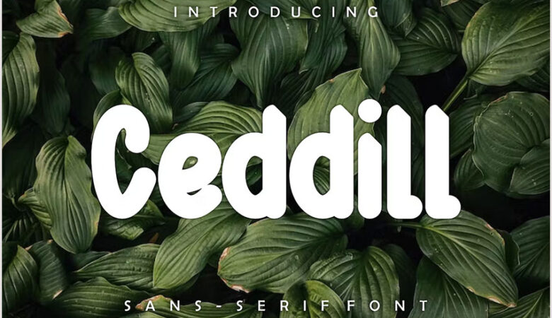 Ceddill Font