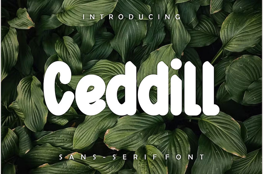 Ceddill Font