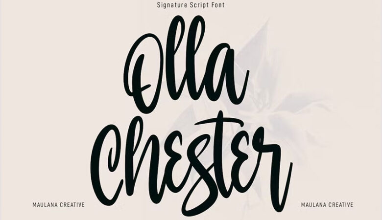 Olla Chester Font