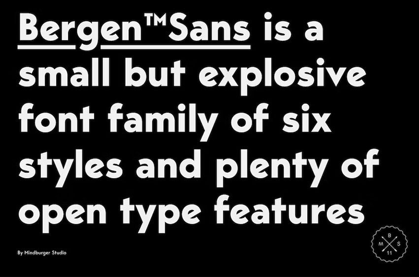 Bergen Sans Font