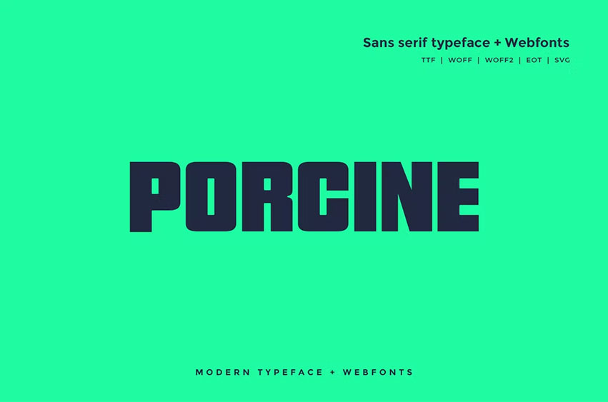 Porcine Font