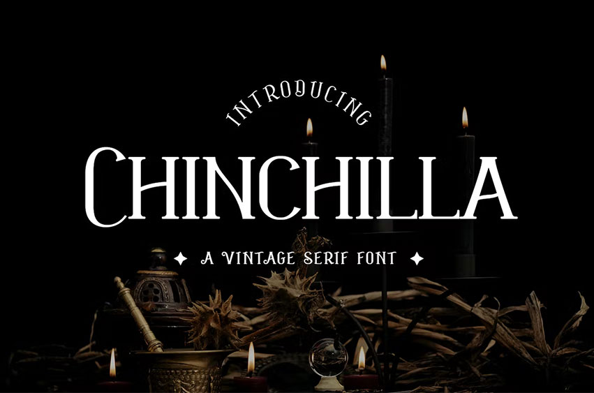 Chinchilla Vintage Font