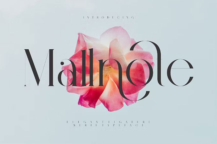 Mallnote Elegant Font