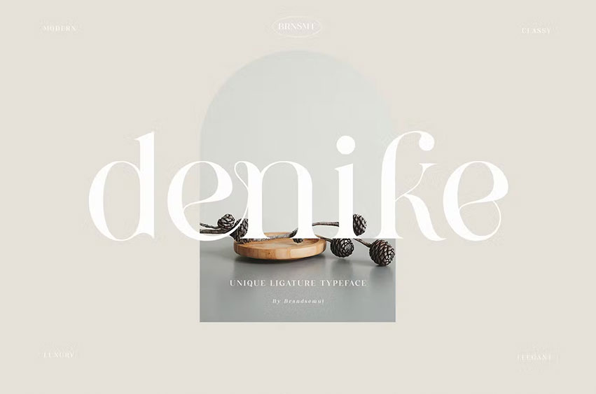 Denike Stylish Font