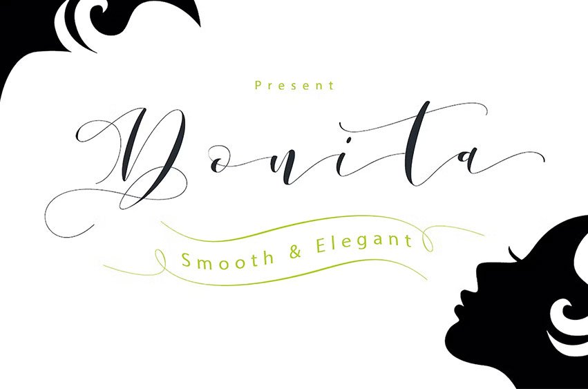 Donita Script Webfonts Font