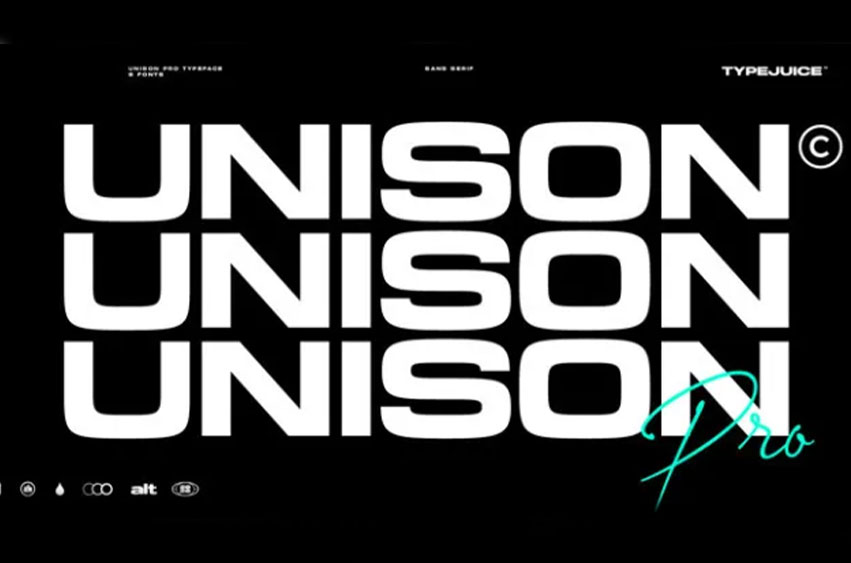 Unison Pro Font Family