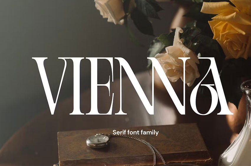 Cd Vienna Serif Font Family