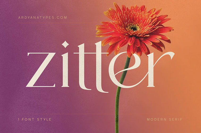 Zitter Font