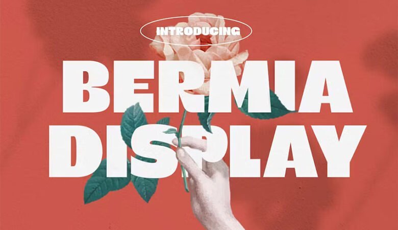 Bermia Display Font