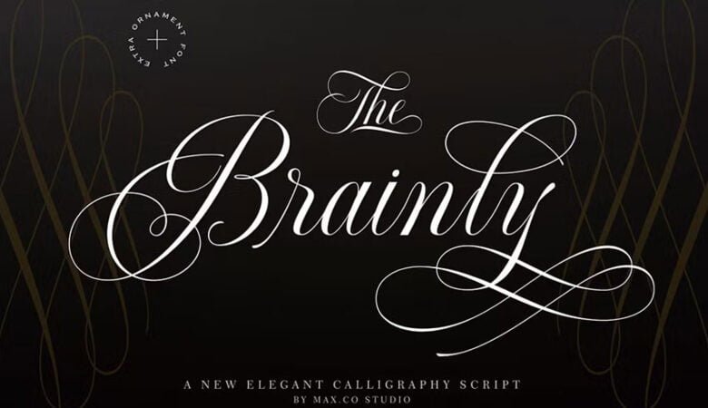 Brainly Script Font