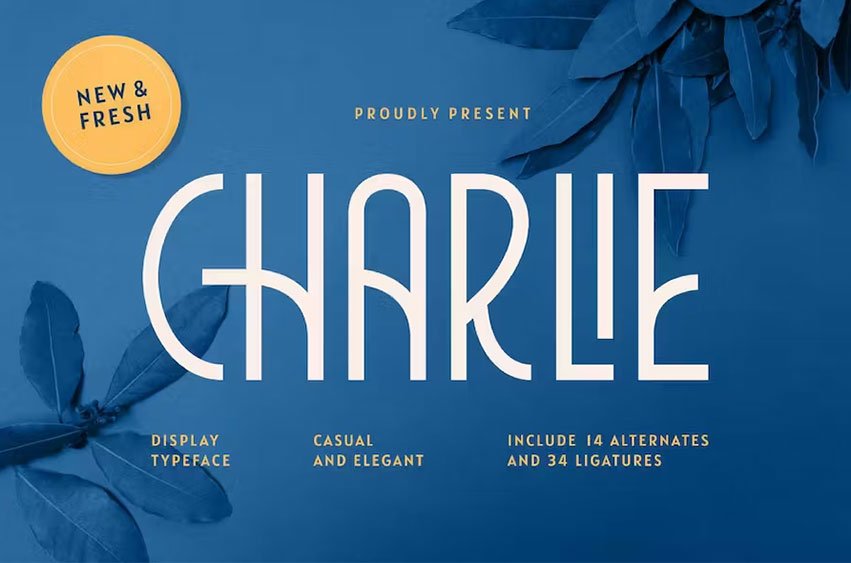 Charlie Vintage Modern Font