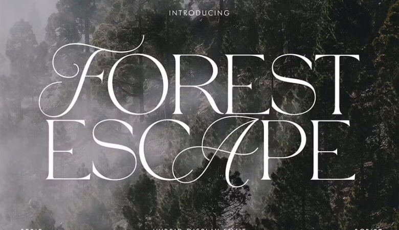 Forest Escape Font