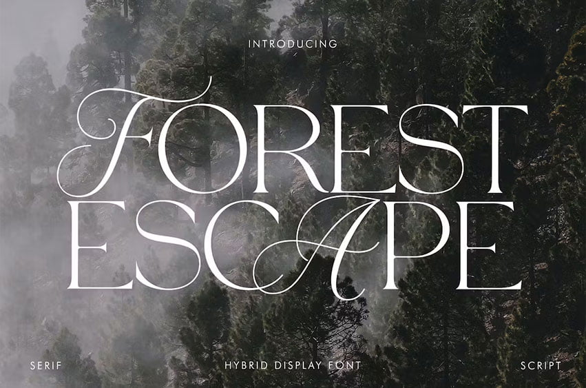 Forest Escape Font