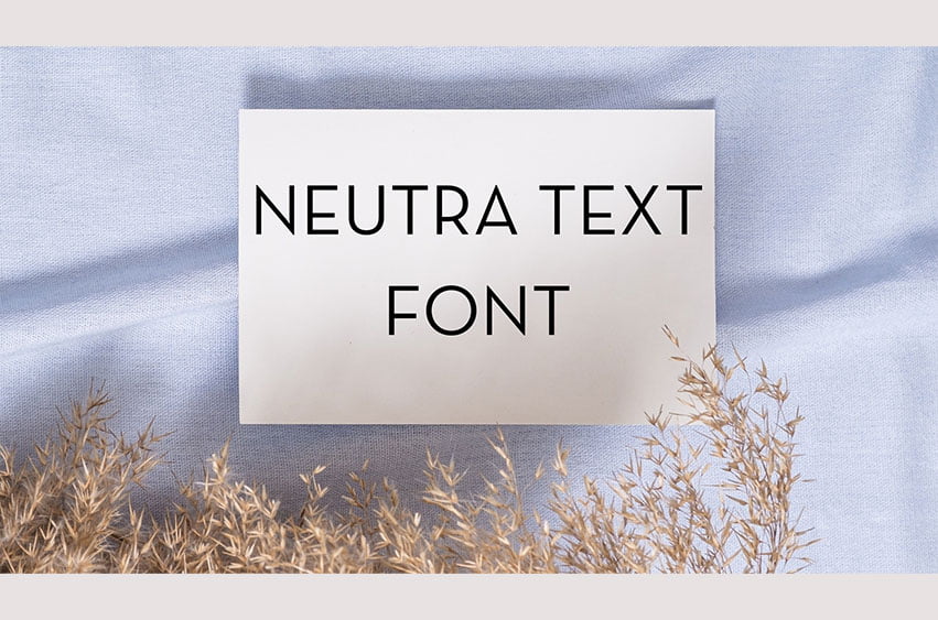 Neutra Text Font