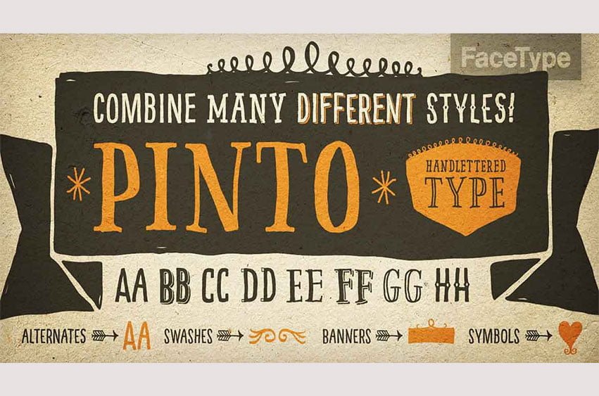 Pinto Font Family