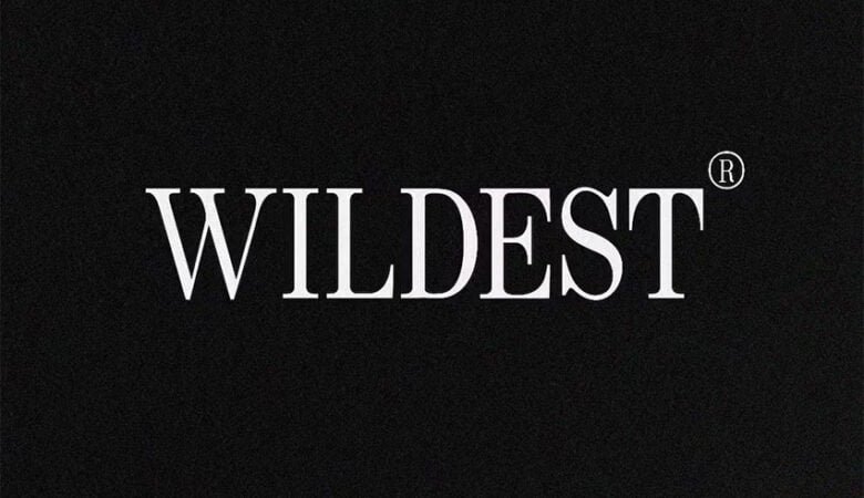 Wildest Font