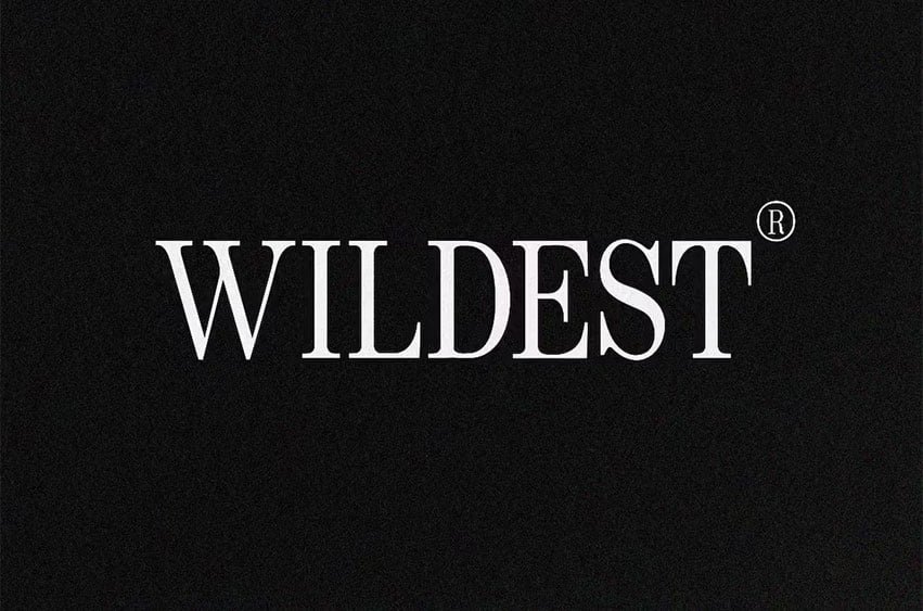 Wildest Font