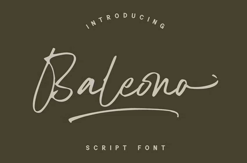 Baleono Font