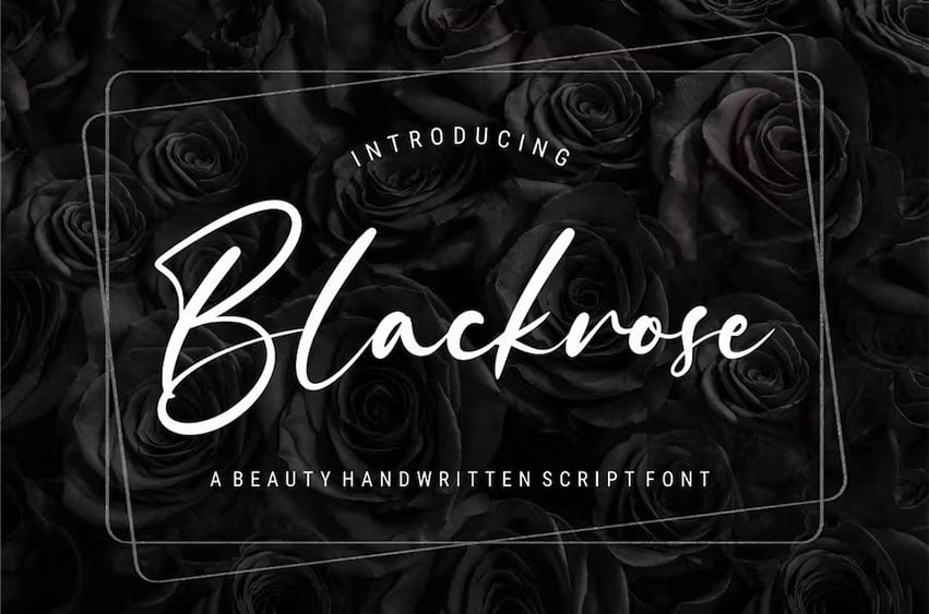 Blackrose Font