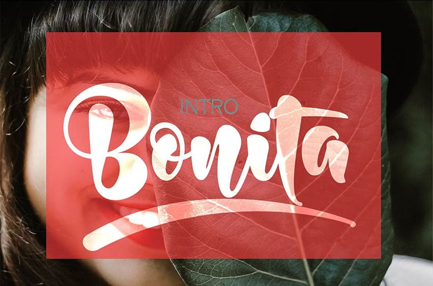 Bonita Bold Font