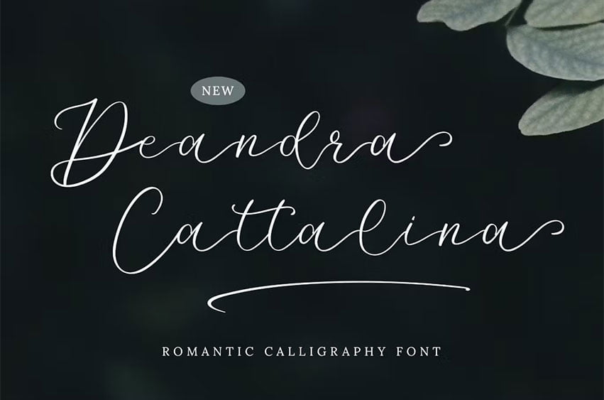 Deandra Cattalina Font