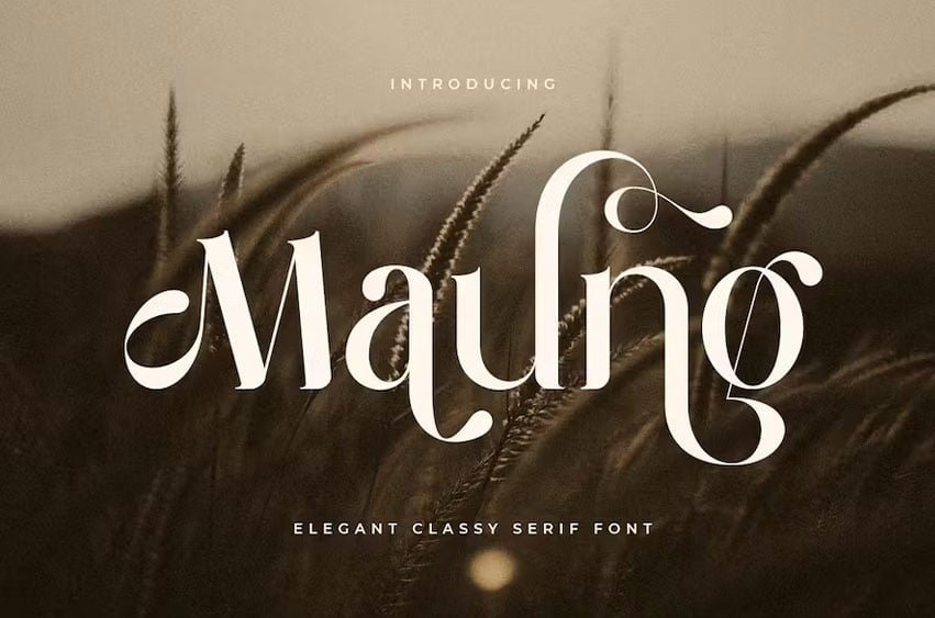Maung Font