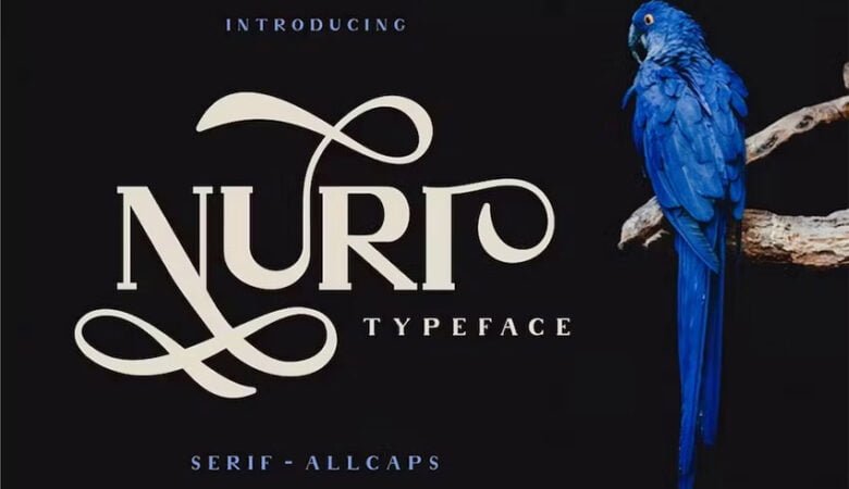 Nuri Font