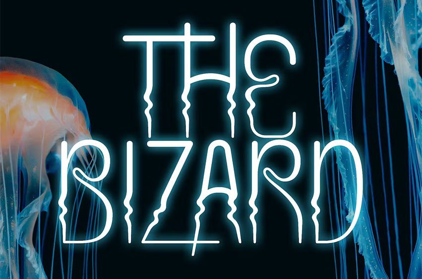 The Bizard Font