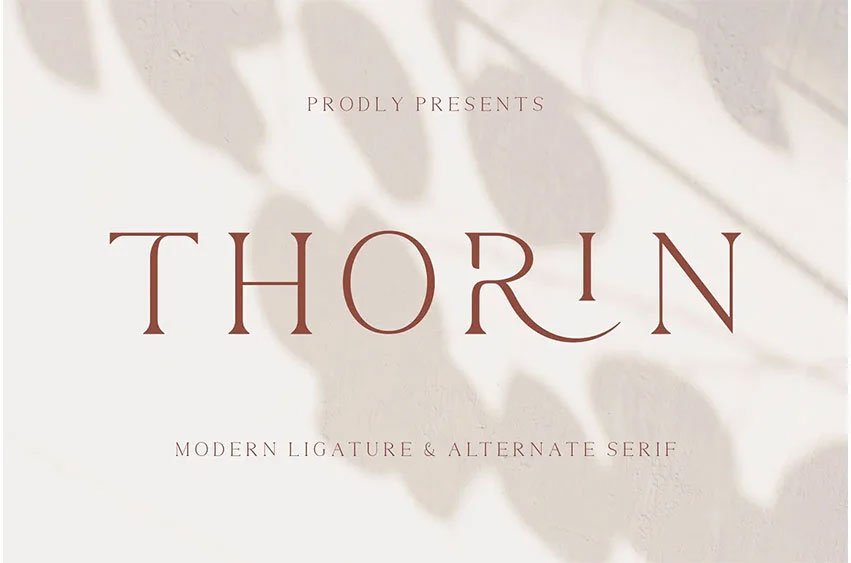 Thorin Font