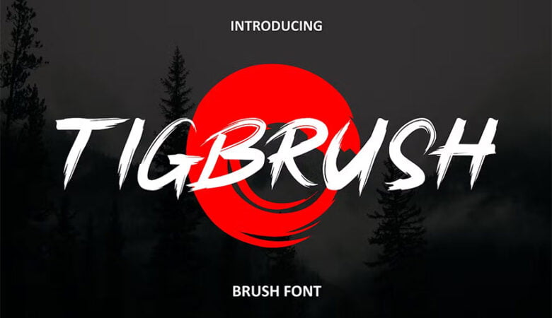 Tigbrush Font