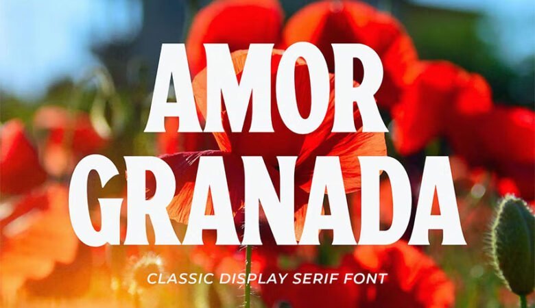 Amor Granada Font