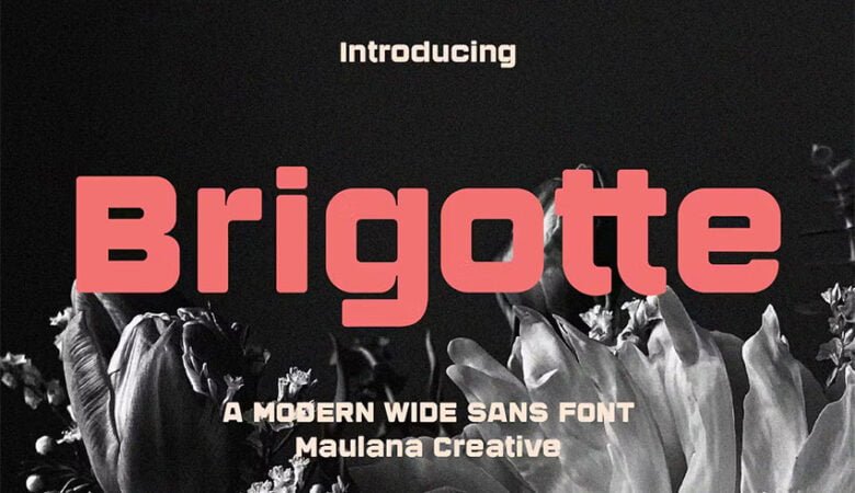 Brigotte Font