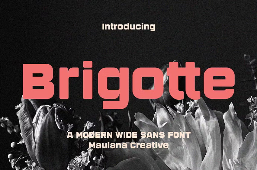 Brigotte Font