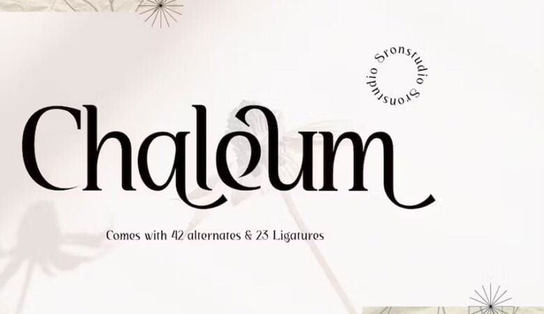 Chaleum Font
