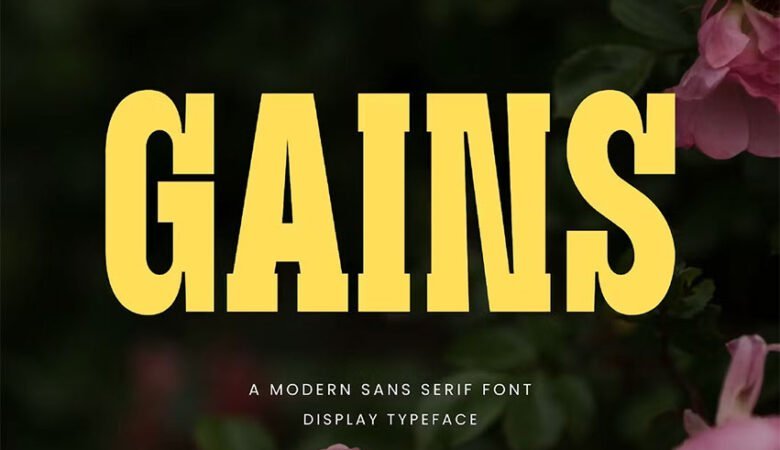 Gains Font