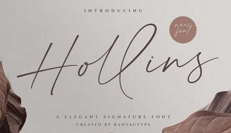 Hollins Font