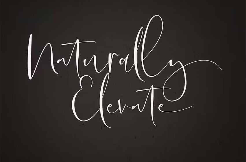 Naturally Elevate Font