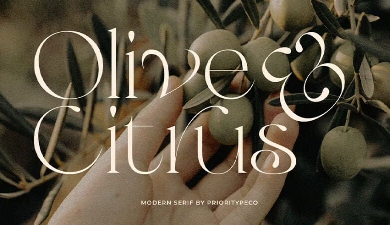 Olive & Citrus Font