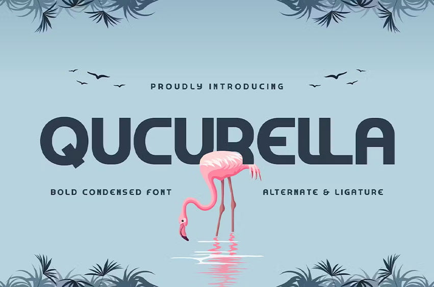 Qucurella Font