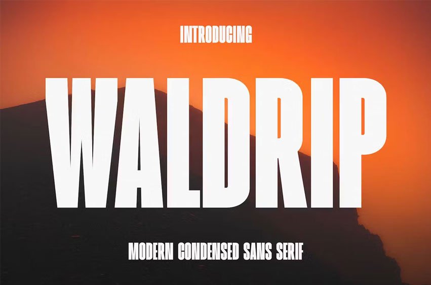 Waldrip Font