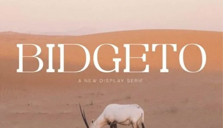 Bidgeto Font
