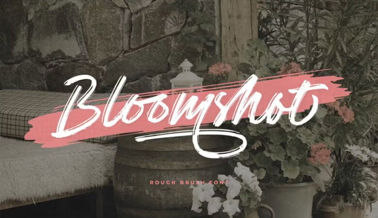 Bloomshot Font