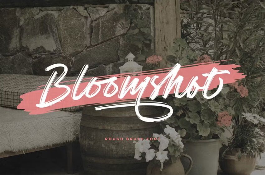 Bloomshot Font