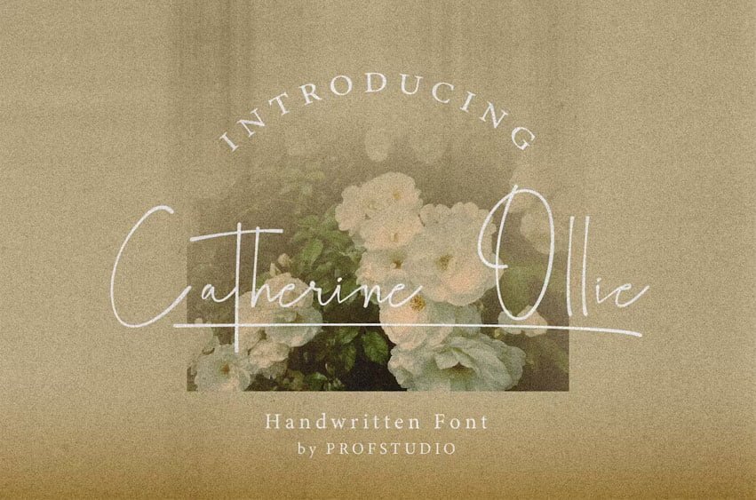 Catherine Ollie Font