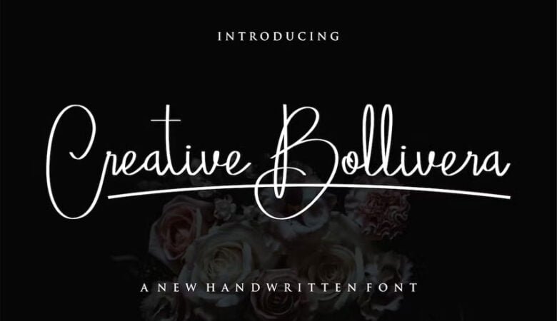 Creative Bollivera Font