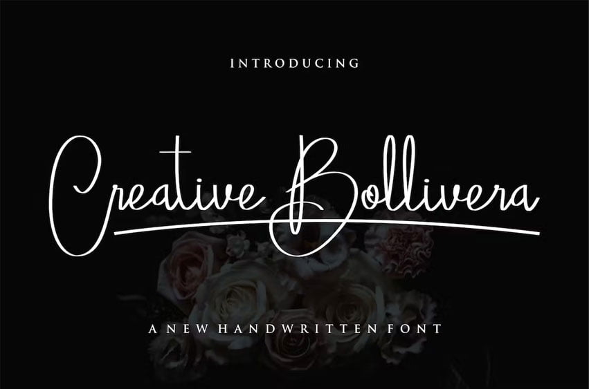 Creative Bollivera Font