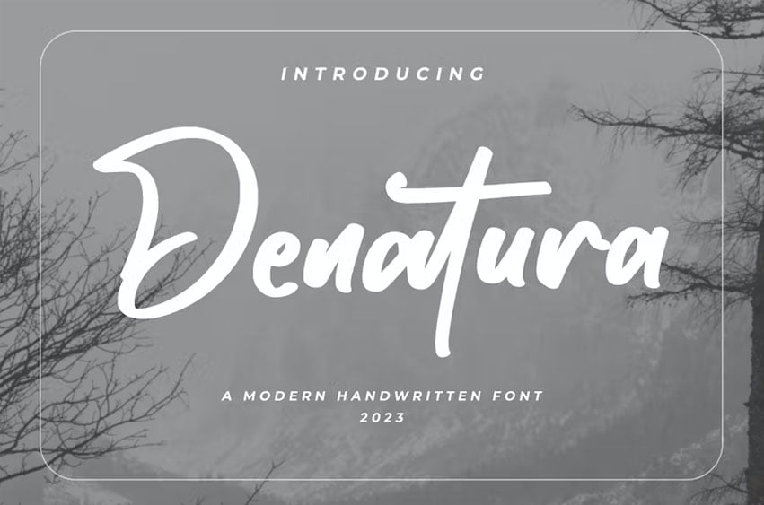 Denatura Font