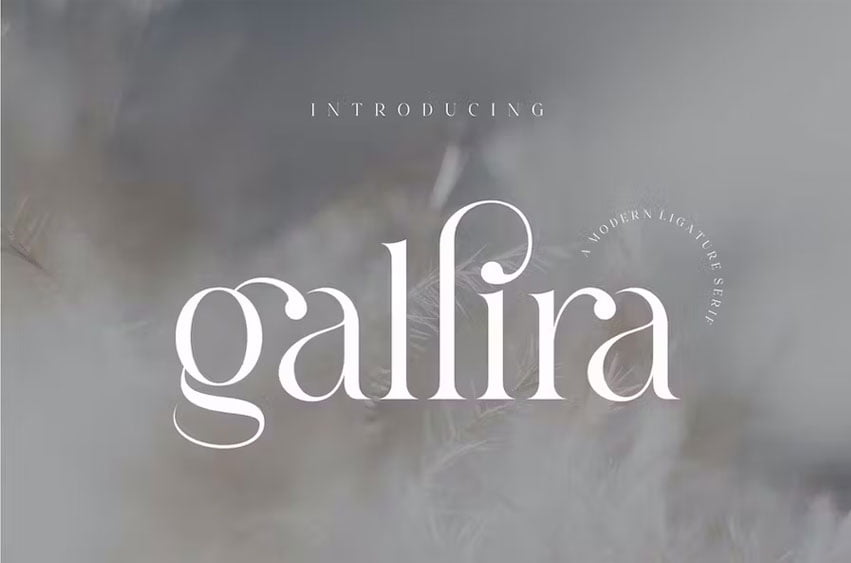 Gallira Font