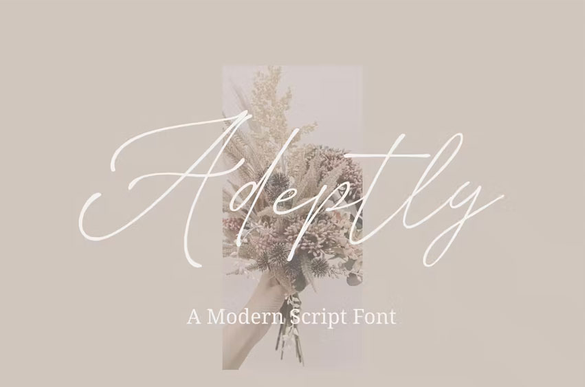 Adeptly Font