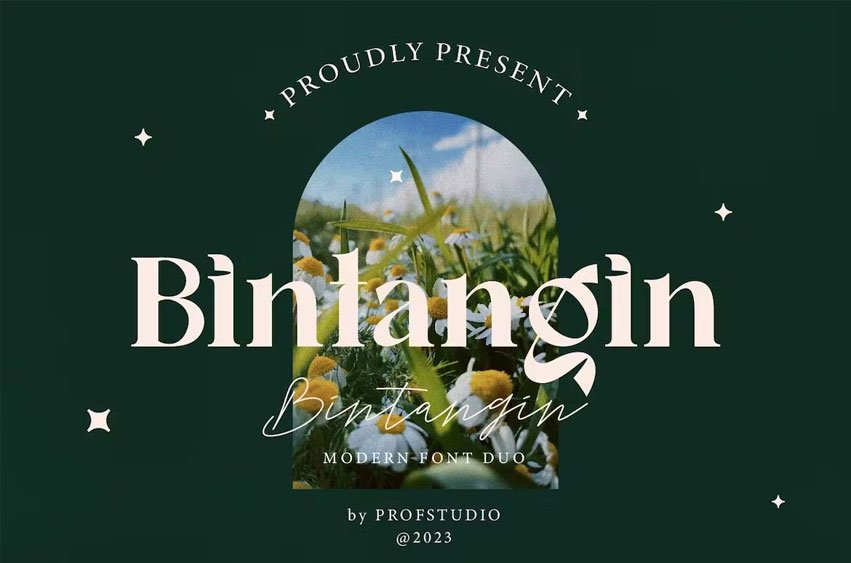Bintangin Font